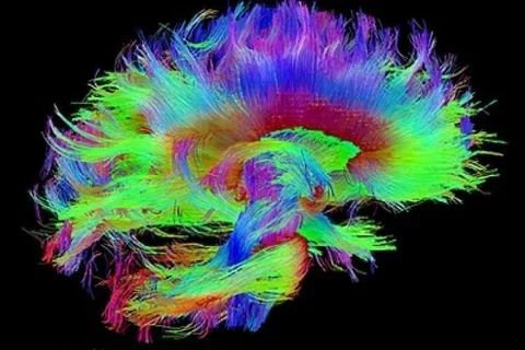 Specialty Spotlight: Psychiatry