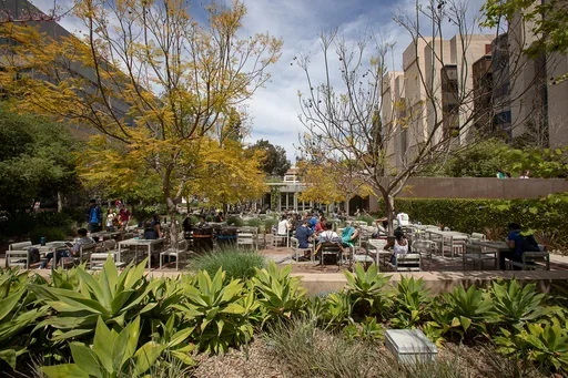 Outside dining area with people eating surrounded by plants and trees
