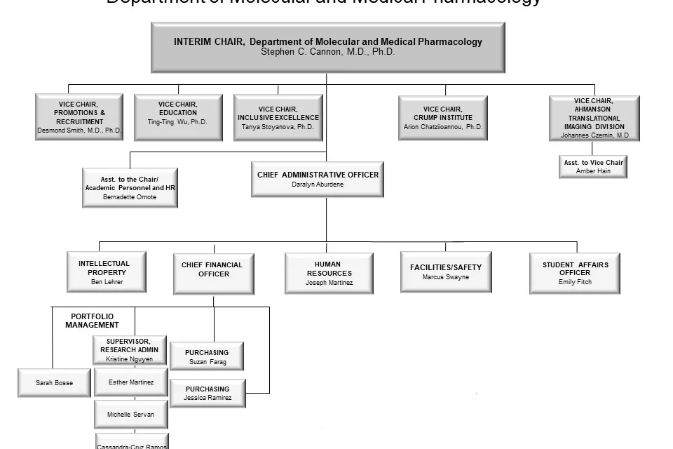 Organizational Chart for Admin in Dept of Molecular & Medical Pharmacology
