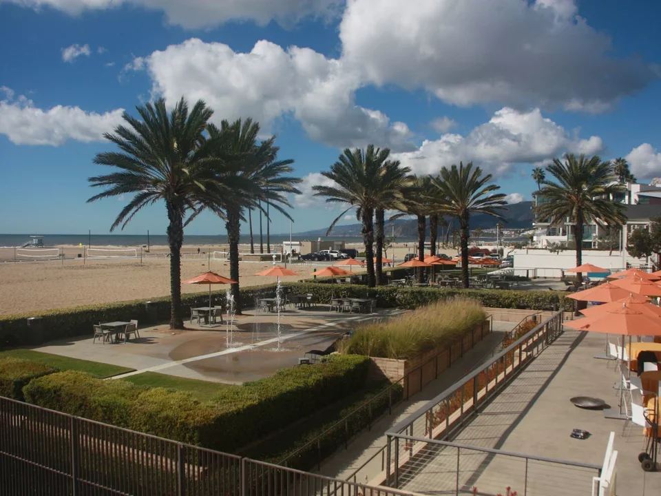 beach view of clouds, sand, palm trees