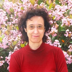 Begonya Comin-Anduix