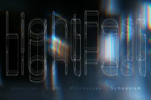 Lightfest Banner
