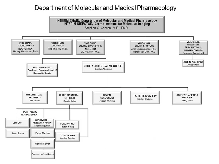 Image of flow chart showing structure of Pharmacology administration
